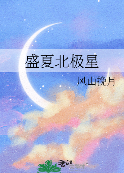 盛夏北极星